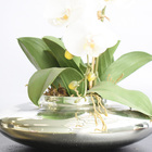 Arranjo De Orquídeas De Silicone Brancas No Vaso Prateado | F